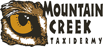 Mountain Creek Taxidermist Wildlife Mounts Seeley Lake Montana Logo